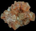 Aragonite Twinned Crystal Cluster - Morocco #59786-1